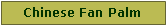 Text Box: Chinese Fan Palm