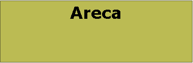 Text Box: Areca