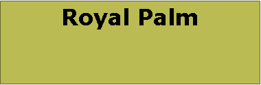 Text Box: Royal Palm