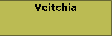 Text Box: Veitchia