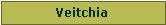 Text Box: Veitchia