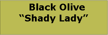 Text Box:   Black OliveShady Lady